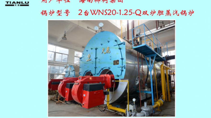 椰樹集團2臺WNS20-1.25-Q雙爐膽蒸汽鍋爐 椰樹集團2臺WNS20-1.25-Q雙爐膽蒸汽鍋爐